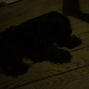 Meet your Posher, Luis